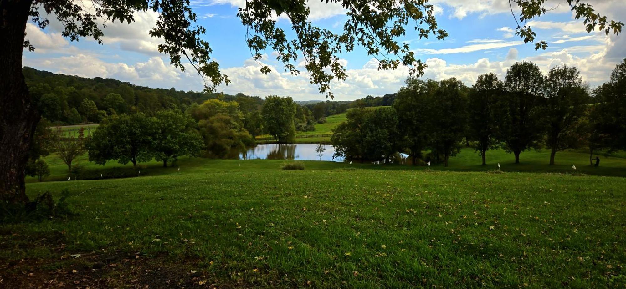 West Park Gardens Hotell Culpeper Rum bild